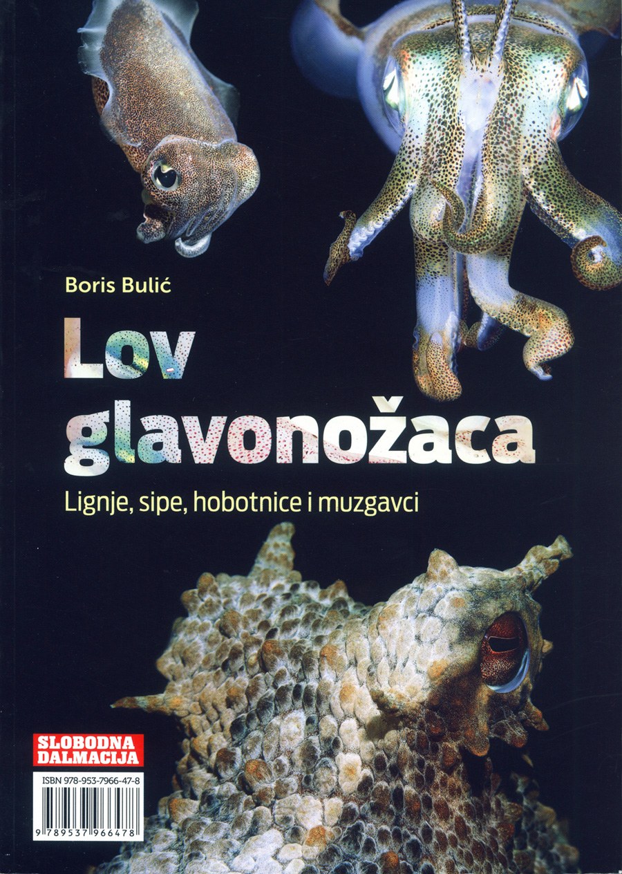 LOV GLAVONOŽACA - lignje, sipe, hobotnice i muzgavci