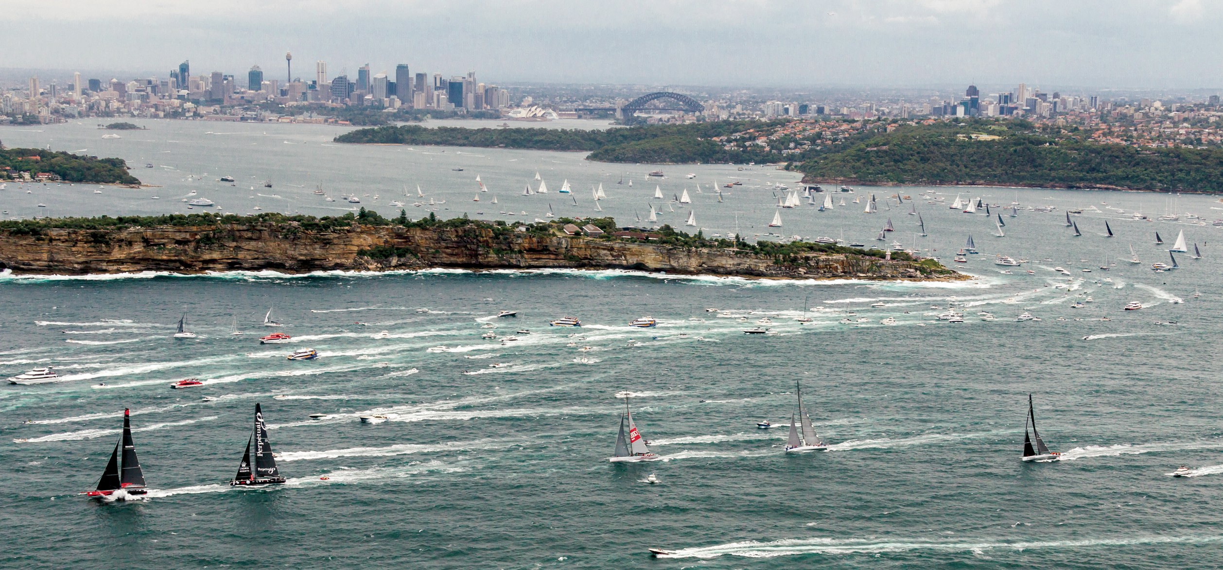 Punokrvni 71. Sydney to Hobart