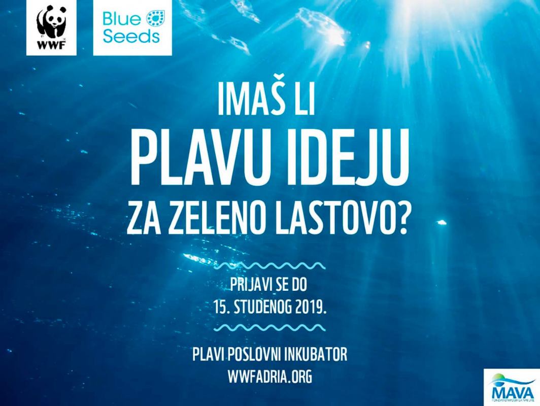 Imaš li plavu ideju za zeleno Lastovo? 