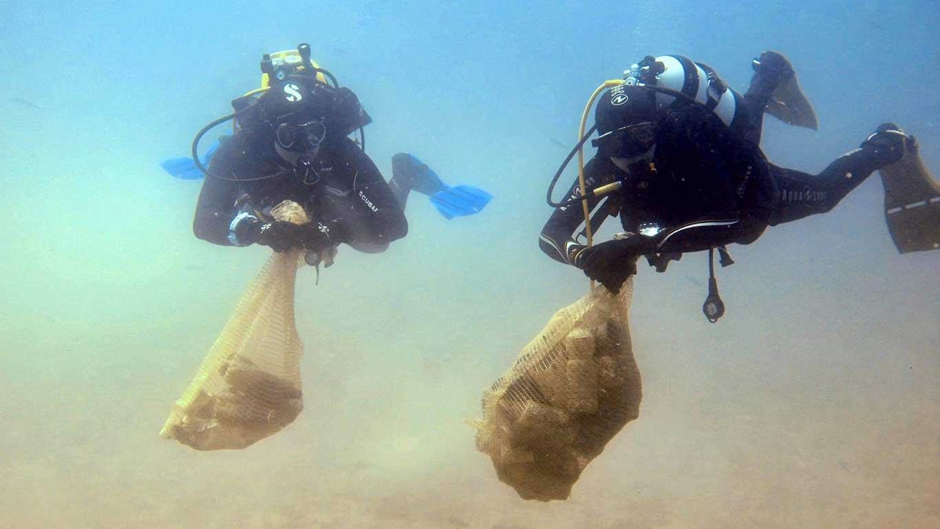 Velike akcije čišćenja podmorja u ACI marinama Dubrovnik i Šimuni