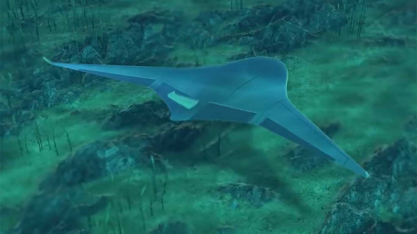 Manta Ray