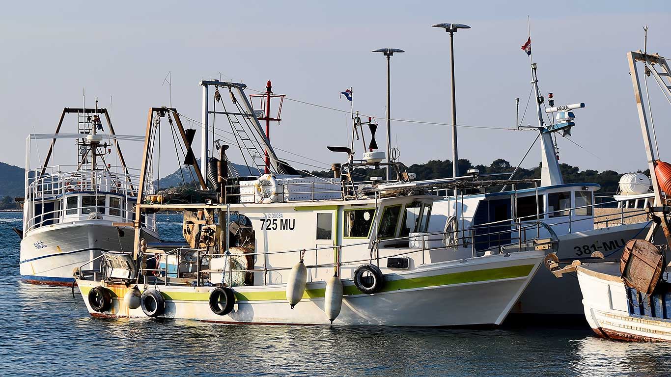 Aktualne mjere pomoći hrvatskim ribarima