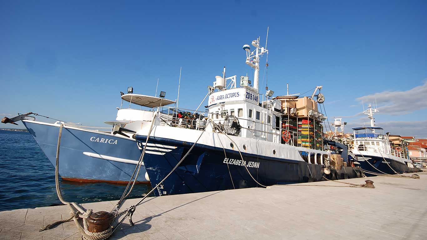 Hrvatskim ribarima na raspolaganju 105 milijuna kuna iz državnog proračuna