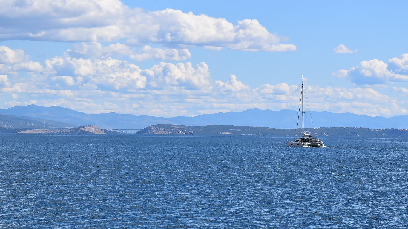 Ribe odlaze sjevernije, temperatura zraka prodire sve dublje u mora, a oceani gube svoje koraljne grebene