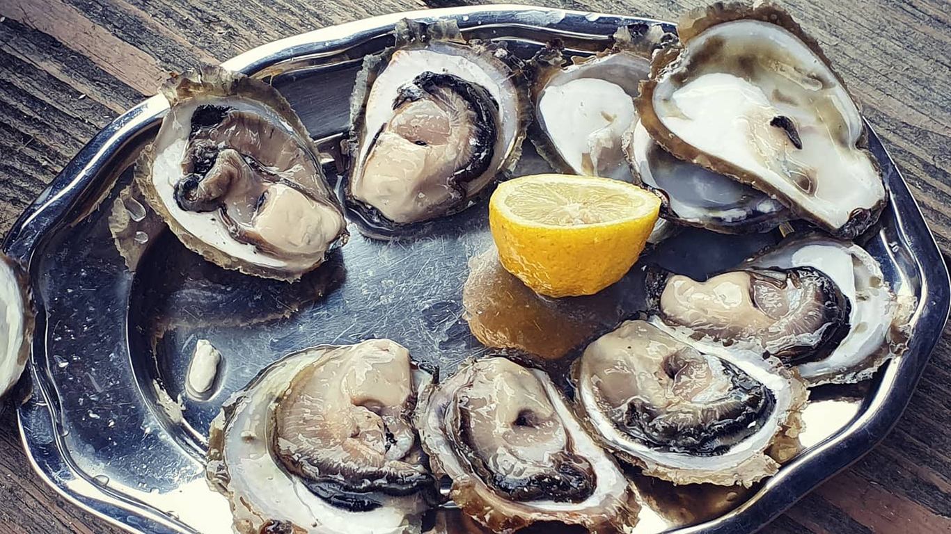 Oyster Adriatic za cjelogodišnje uživanje u kamenicama