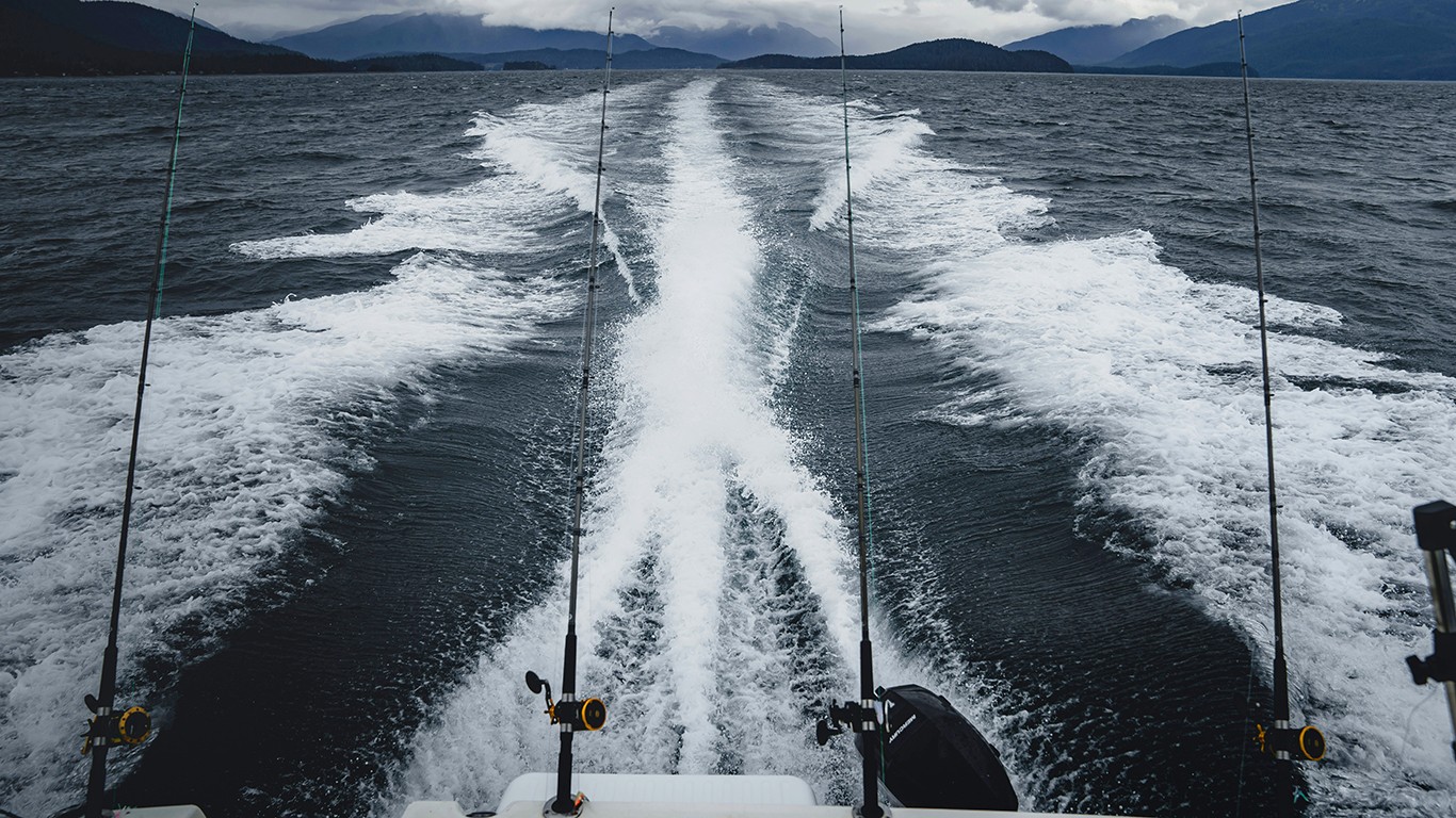 Kako loviti panulom?