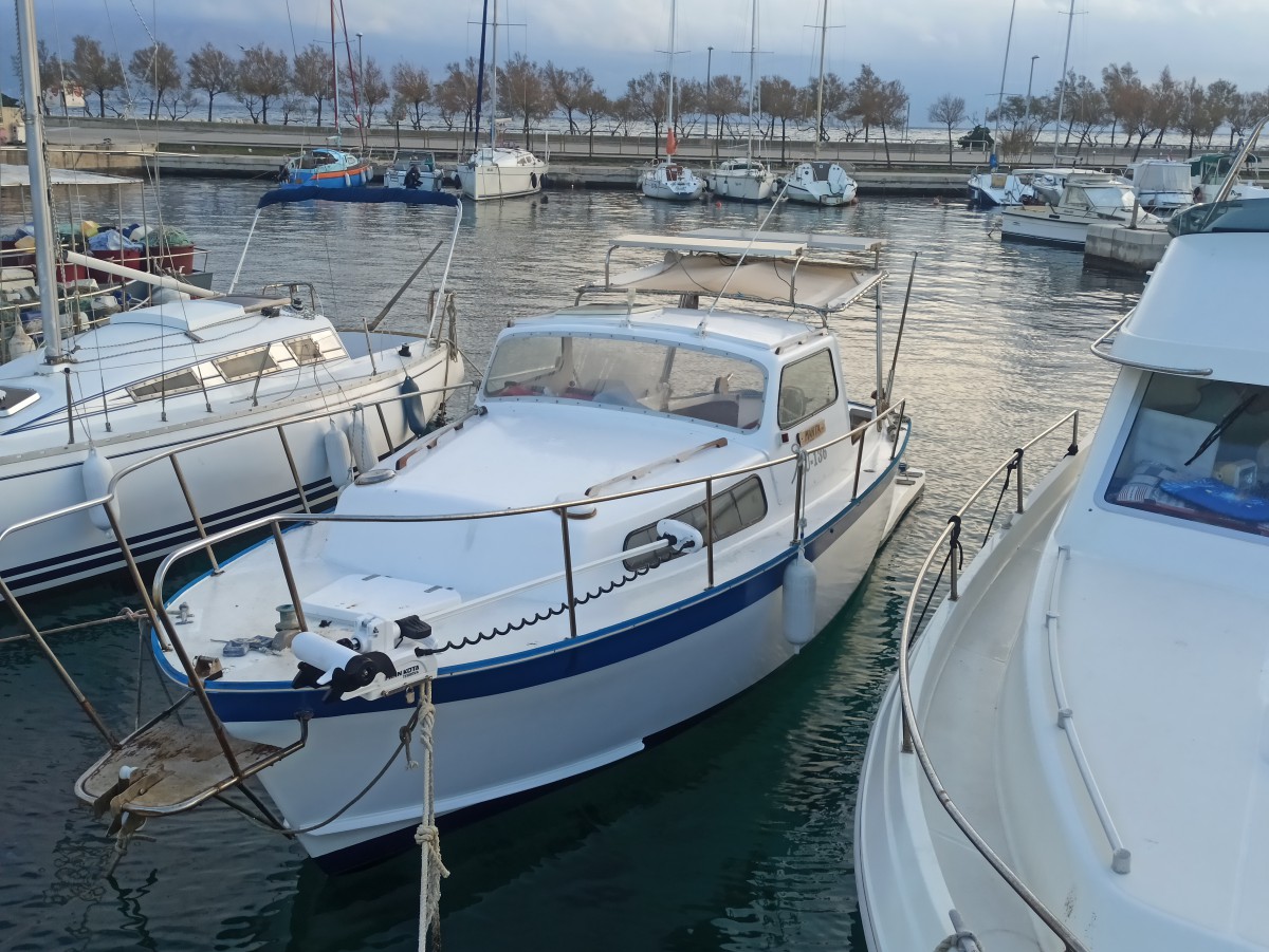 Albin 25